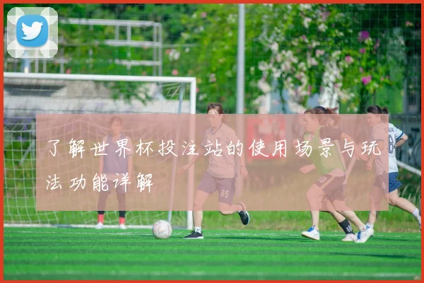 了解世界杯投注站的使用场景与玩法功能详解